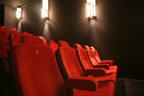 Dersa Kino in Damme - Fotograf: Alexander Thye