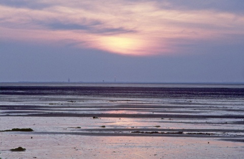 Wattenmeer © Wangerland Touristik