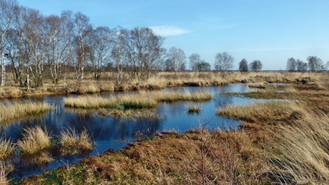 Moorlandschaft am Ewigen Meer ® www.ostfriesland.de