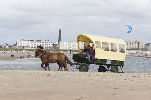 Pferdekutsche am Nordstrand © Nordseeheilbad Borkum GmbH / Gasparini