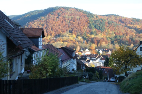 Blick vom Weinberg