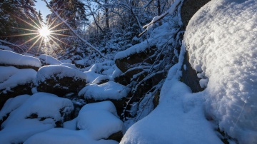 "Der Harz - Eisige Gipfel, wilde Täler"