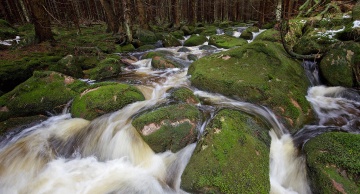 "Der Harz - Felsenreich und Wasserwelten"