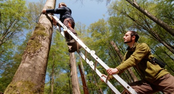GANZ SCHÖN WILD: EINSATZ FÜR DEN URWALD VON MORGEN