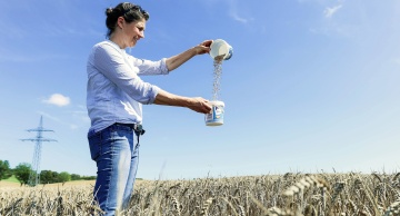 "Trecker, Typen, Erntezeit: Franziska muss den Weizen retten"