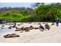 "Galapagos - Leben im Nationalpark"