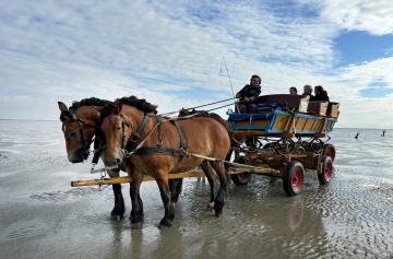 "Cuxhaven und die Wurster Küste - Zwischen alten Traditionen und neuen Ideen"