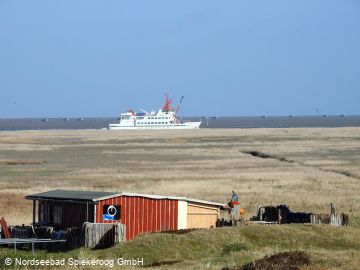 Campingplatz: Spiekeroog Naturzeltplatz