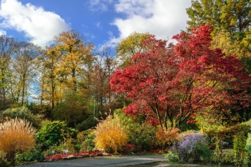 Park: Alter Botanischer Garten, Göttingen